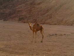 Click for bigger picture