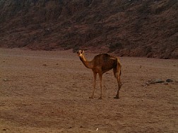 Click for bigger picture