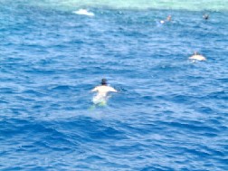 Click for bigger picture