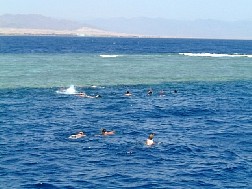 Click for bigger picture