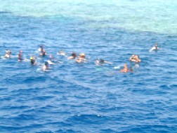 Click for bigger picture