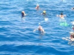 Click for bigger picture