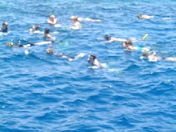 Click for bigger picture