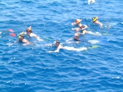 Click for bigger picture