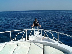 Click for bigger picture