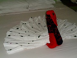 Click for bigger picture