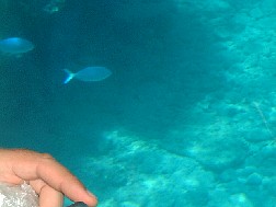 Click for bigger picture