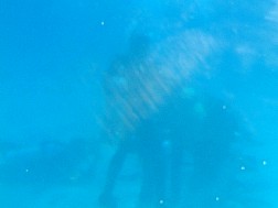 Click for bigger picture