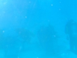 Click for bigger picture