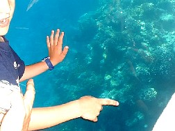 Click for bigger picture