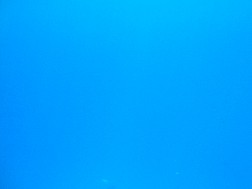 Click for bigger picture