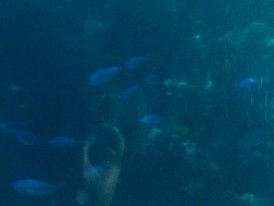 Click for bigger picture