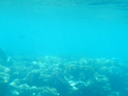 Click for bigger picture