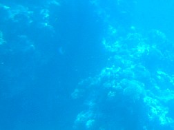 Click for bigger picture