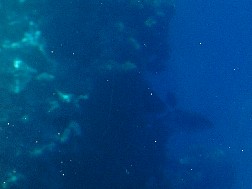 Click for bigger picture