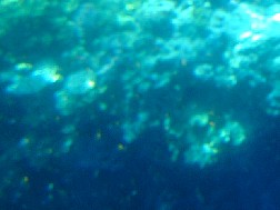 Click for bigger picture