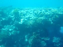 Click for bigger picture