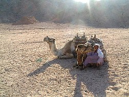 Click for bigger picture