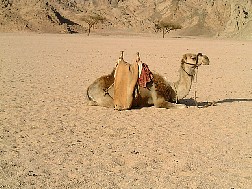 Click for bigger picture