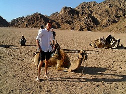 Click for bigger picture