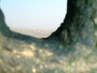 Haven't got a clue...